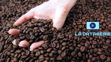 ¿Cuáles son las 10 marcas de café preferidas por los ticos? Un 6% bebe cinco o más tazas al día 