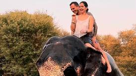 Shirley Álvarez y Daniel Vargas montaron un elefante: ¿Por qué esa práctica genera controversia?