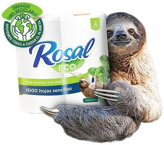 Rosal Eco ya se encuentra disponible en sus diferentes formatos en las tiendas Walmart y Más x Menos de todo el país. Únete a la causa de cuidar nuestro planeta, juntos podemos hacer la diferencia.