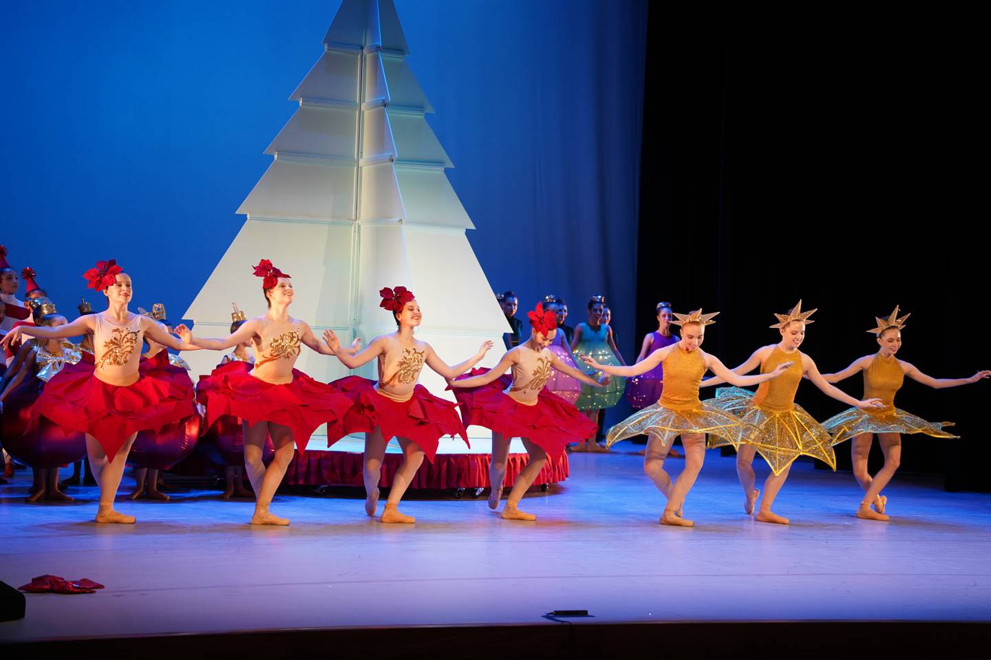 Las audiciones para el ballet en el Teatro Nacional se realizaron de manera exhaustiva durante todo el año.