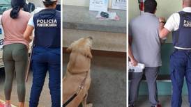 Perros ayudan a Policía ante constantes intentos por introducir drogas a cárceles durante visita a reos 
