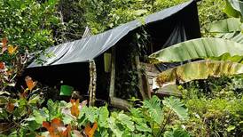 Operativo contra saqueo en Parque Nacional Corcovado deja 11 detenidos