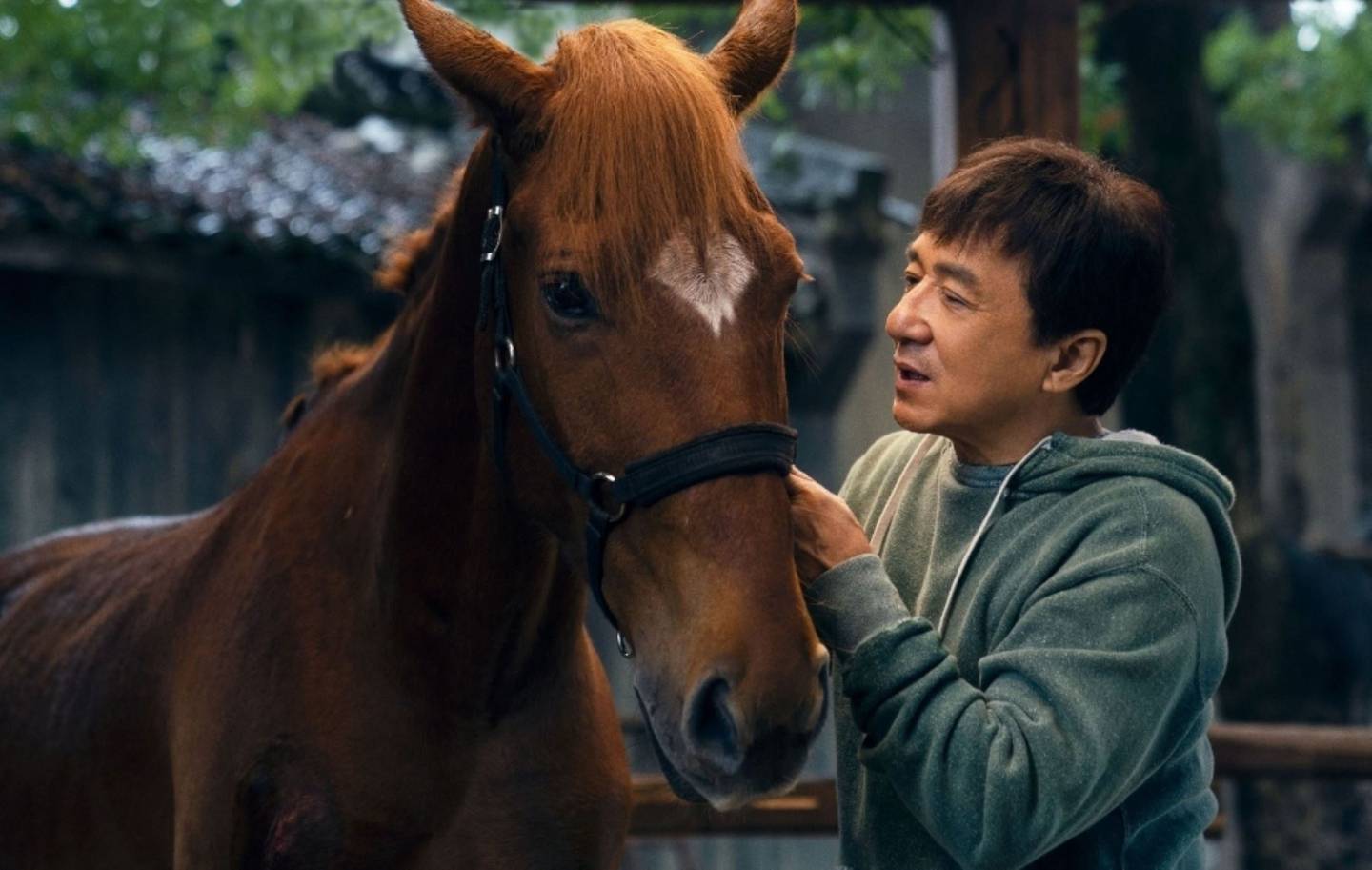Un caballo (que también es doble en películas) es el compañero de vida del personaje que encarna Jackie Chan. Foto: Cortesía Mundocine
