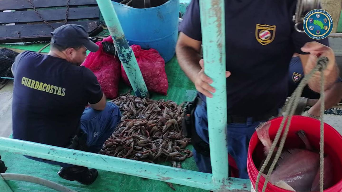 Varios sacos con  354 kilos de camarones pescados de forma ilegal por el barco semiindustrial  Capitán Andito fueron decomisados. Foto; Cortesía MSP