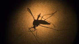 Ministerio de Salud descarta caso de Guillain-Barré asociado a virus del Zika