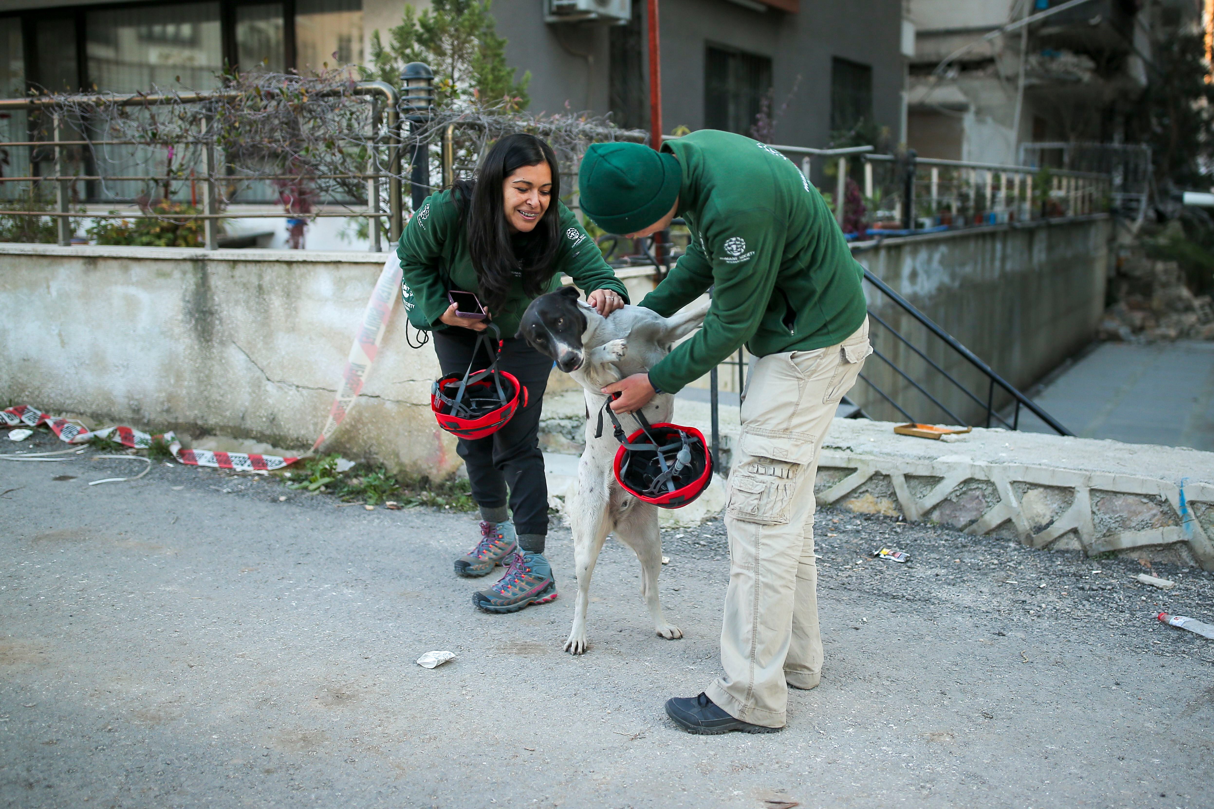 La alegría era inevitable para Grettel Delgadillo cada vez que se podía ayudar a un animal en Turquía. Foto: HSI.