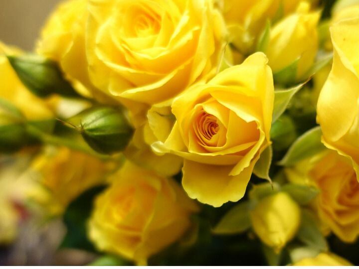 Las flores amarillas representan el inicio de la primavera, pero también recuerdan a la canción de Floricienta. 