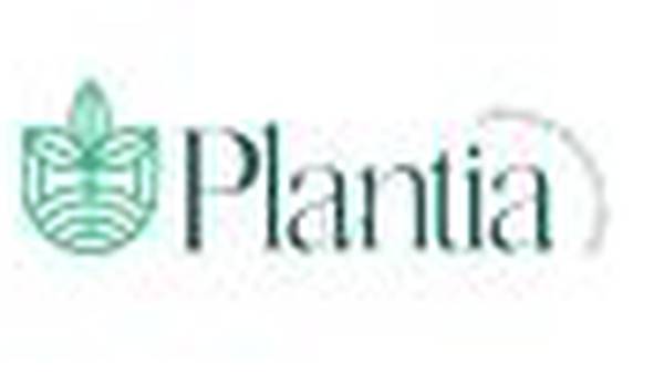 Plantia: un nuevo concepto de diseño de espacios con follaje artificial