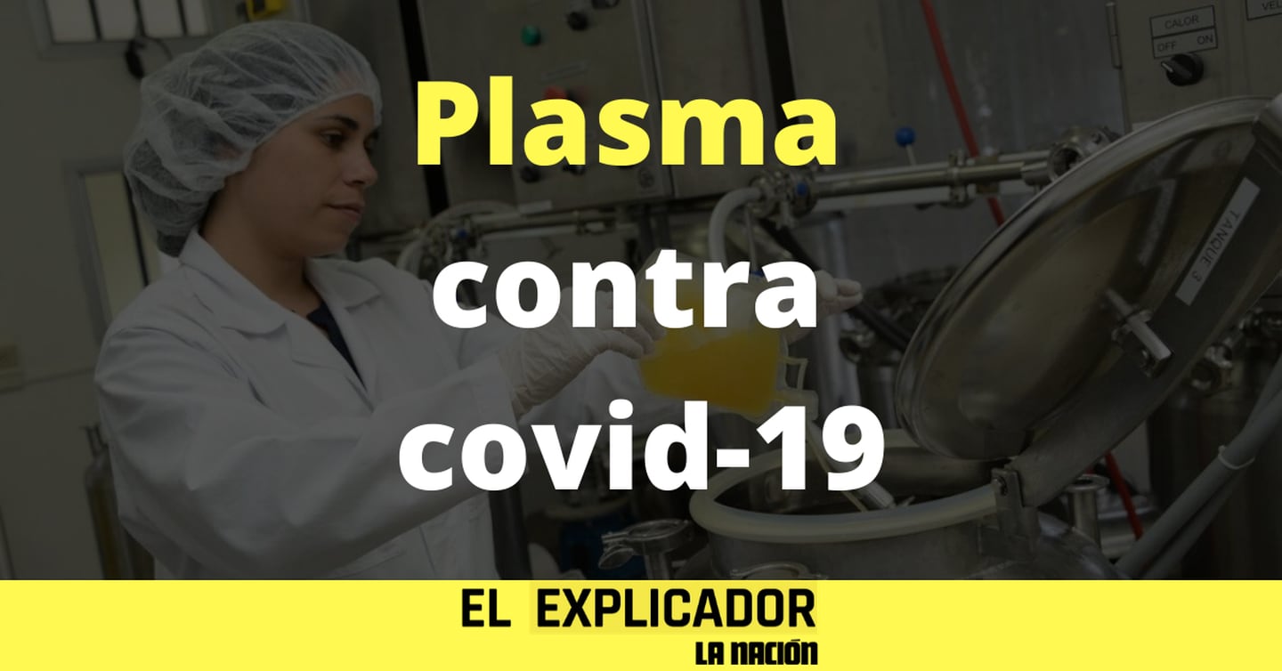 El Explicador - Plasma aféresis - Plasma convaleciente