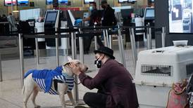 Aerolíneas eliminan traslado de mascotas en vuelos comerciales a EE. UU.