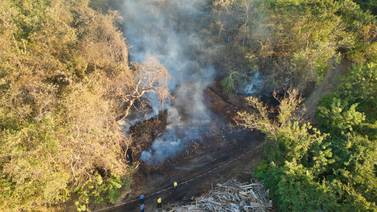 Incendio forestal consume 15 hectáreas en Santa Cruz de Guanacaste