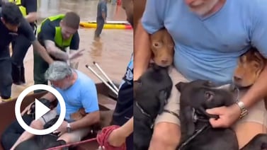 Hombre arriesga su vida para rescatar a sus cuatro perritos de las inundaciones en Brasil