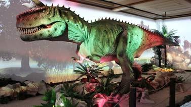 Dinosaurios robots seguirán en el Museo de los Niños