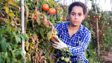 Página quince: Las mujeres rurales pueden impulsar las recuperaciones verdes