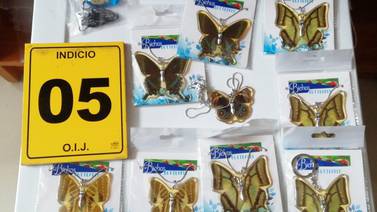 Tiendas de ‘souvenirs’ vendían collares con insectos y mariposas incrustados en resina 