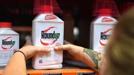Corte de EE. UU. confirma condena contra Monsanto en demanda sobre efectos del glifosato