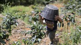 Gobierno establece mecanismo para legalizar mano de obra migrante con arraigo en Costa Rica