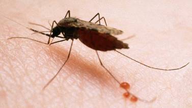 Editorial: El desafío de la malaria