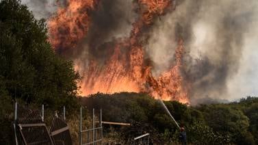 Cinco días de incendios en Grecia dejan un rastro de muerte y desolación