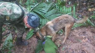 Niños sobrevivientes en selva de Colombia revelan si Wilson el perro estuvo con ellos