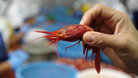 Costa Rica mapeará fondos marinos para mejorar pesca de camarón