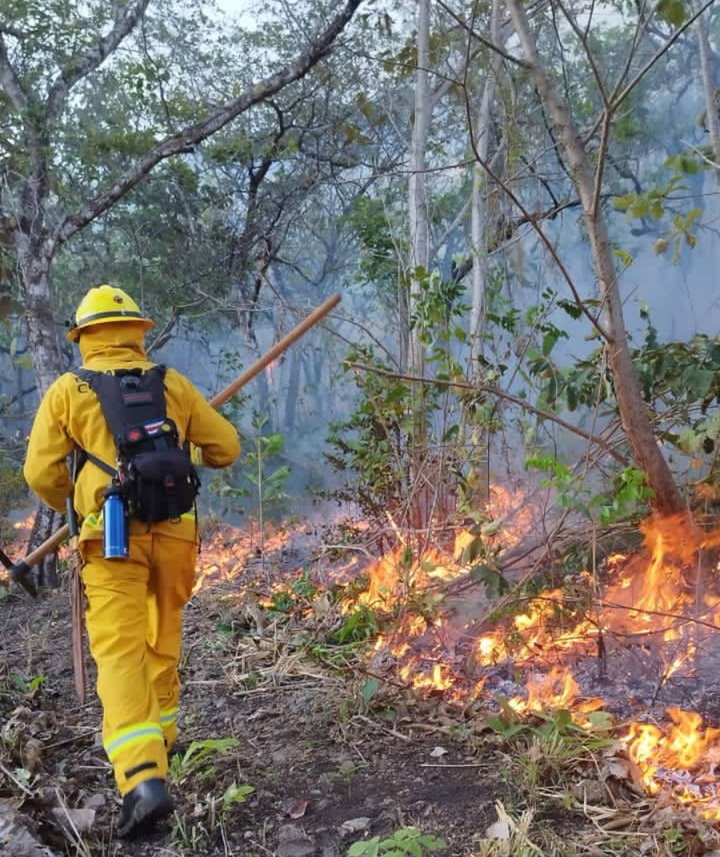 Más de 50 bomberos adiestrados en incendios forestales atienden focos de fuego en las montañas de Tempate de Santa Cruz y San Pablo de Turrubares . Foto; Cortesía Bomberos.