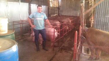 Los cerdos le cambian la vida a exmundialista costarricense
