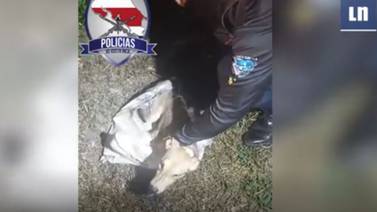 Perrito amarrado dentro de un saco fue rescatado por oficiales de Fuerza Pública 
