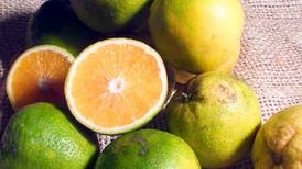 Frutas cítricas reducen riesgo de derrames cerebrales
