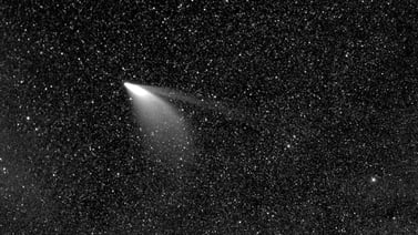 ¿Dónde ver el cometa Neowise? Su brillante estela se observa simple vista