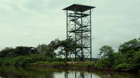 Torre de 18 metros permitirá observar aves en Caño Negro