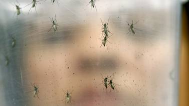 Ministerio de Salud descarta segundo caso de zika en Costa Rica