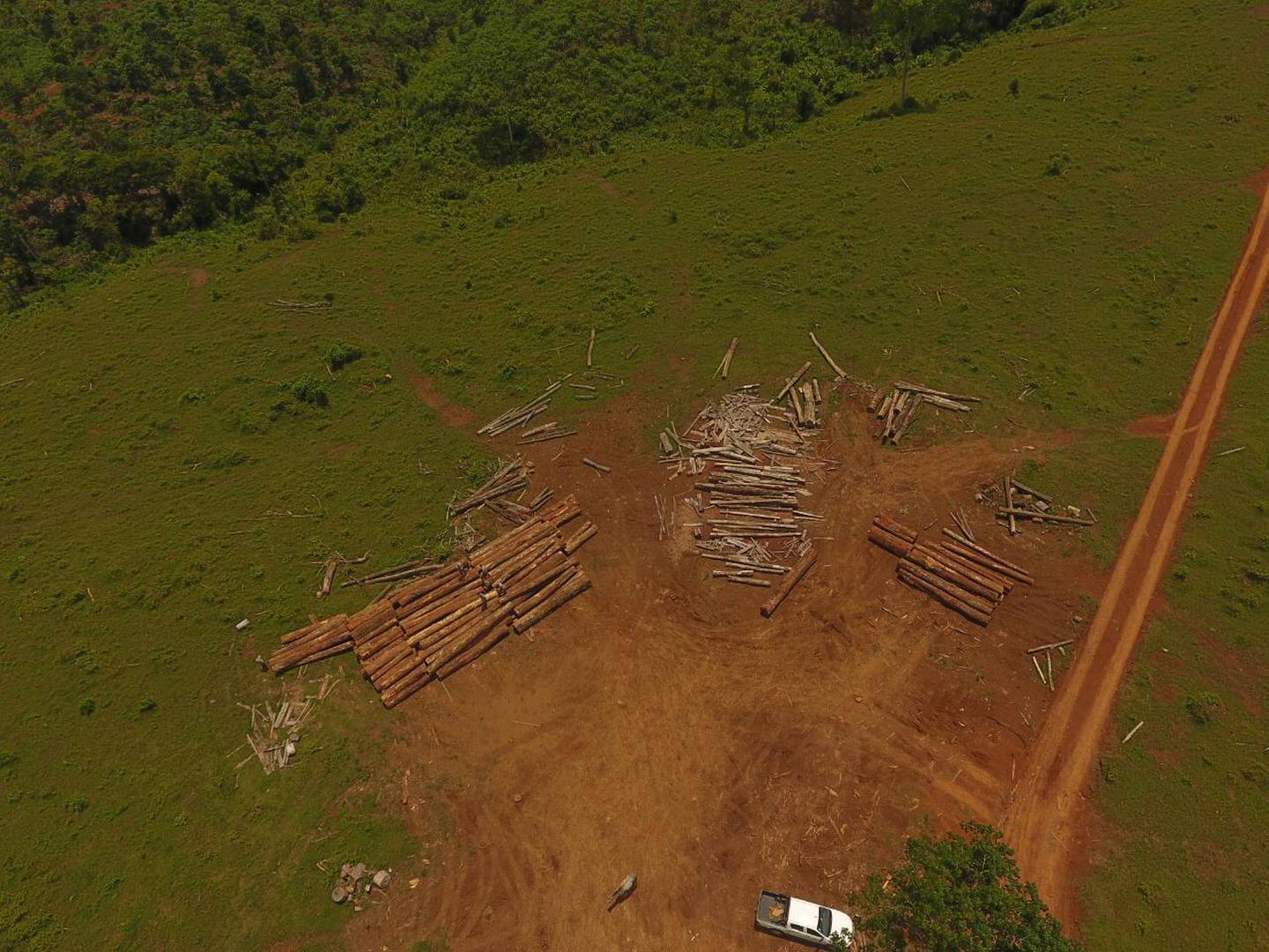 La madera no fue talada en ninguna de las propiedades en las que se encontró, aún se investiga la procedencia. Foto cortesía Sinac