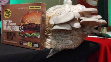 Matrimonio emprendedor convierte hongos ostra en materia prima para hamburguesas