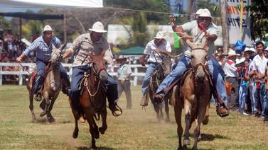 Festival Nacional de las mulas lo espera este fin de semana en Parrita