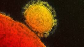 Así manejaría Costa Rica un eventual paciente sospechoso del nuevo coronavirus
