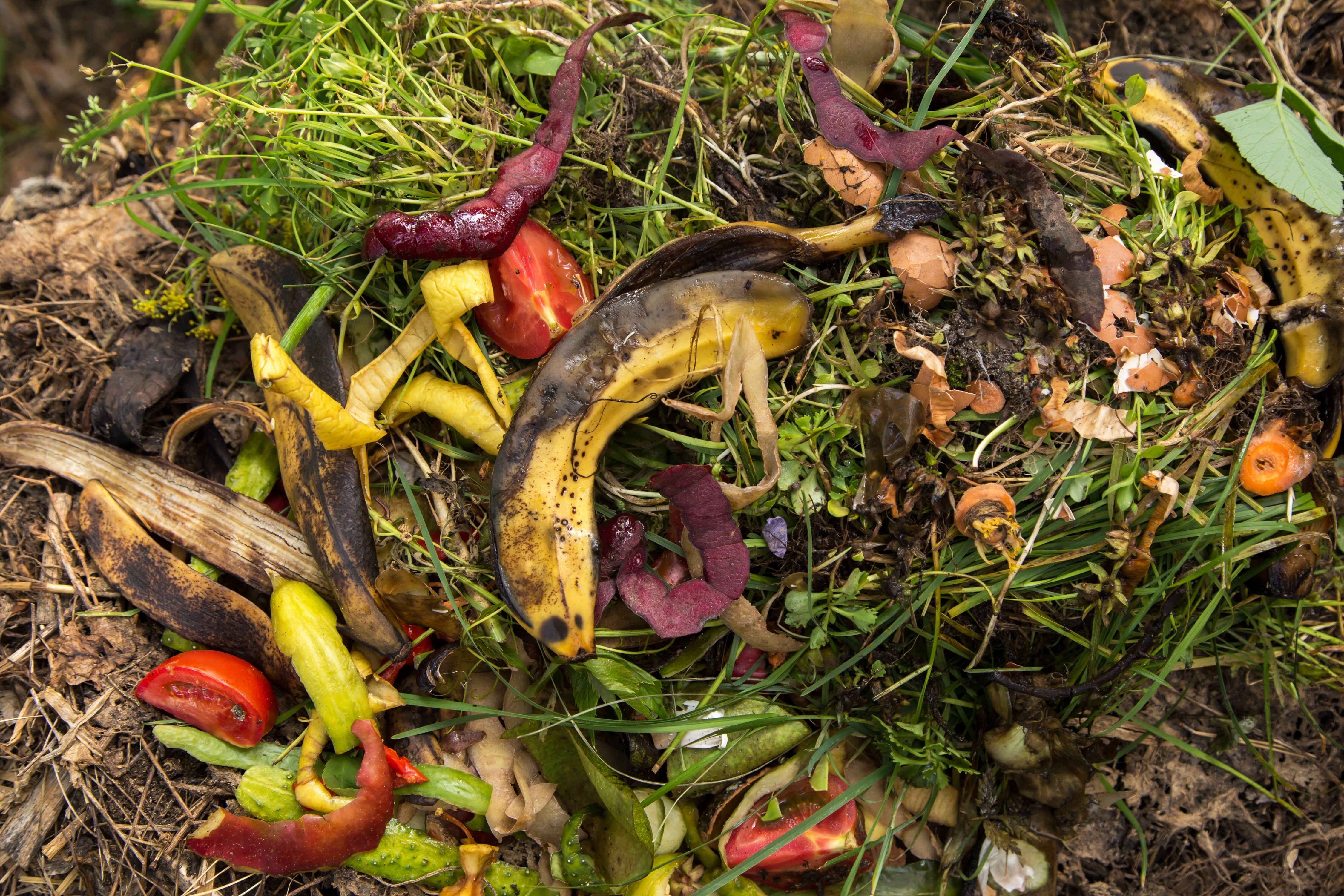 Residuos orgánicos, compost, residuos sólidos, zero waste, economía circular