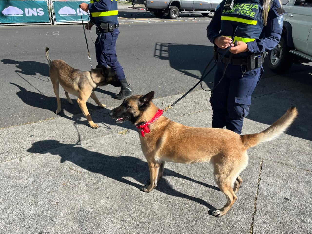 Káiser y Jerusalén, este último identificado con un pañuelo rojo, forman parte de la unidad canina de la Policía Municipal de San José y colaboran en las labores de vigilancia y seguridad durante el traspaso de poderes de la presidenta electa, Laura Fernández.