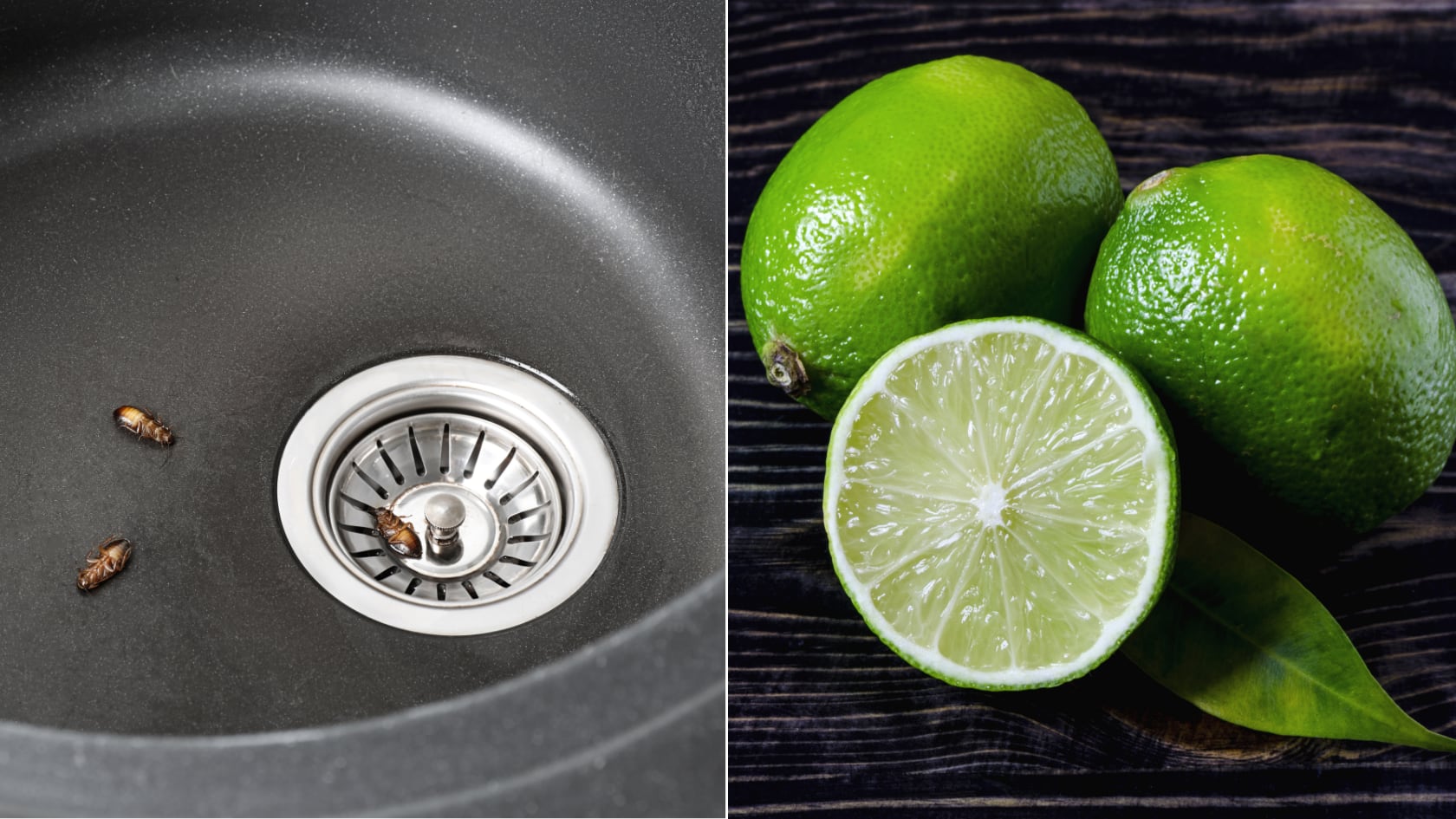 El aroma y el ácido cítrico de este ingrediente natural resultan molestos para las cucarachas y pueden ayudar a mantenerlas lejos de los rincones de la cocina.