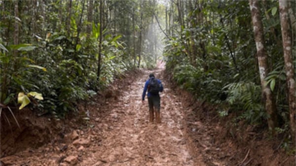 Fiebre de oro, barro y cianuro: 10 horas en el cerro controlado por siete grupos criminales y su devastación ambiental