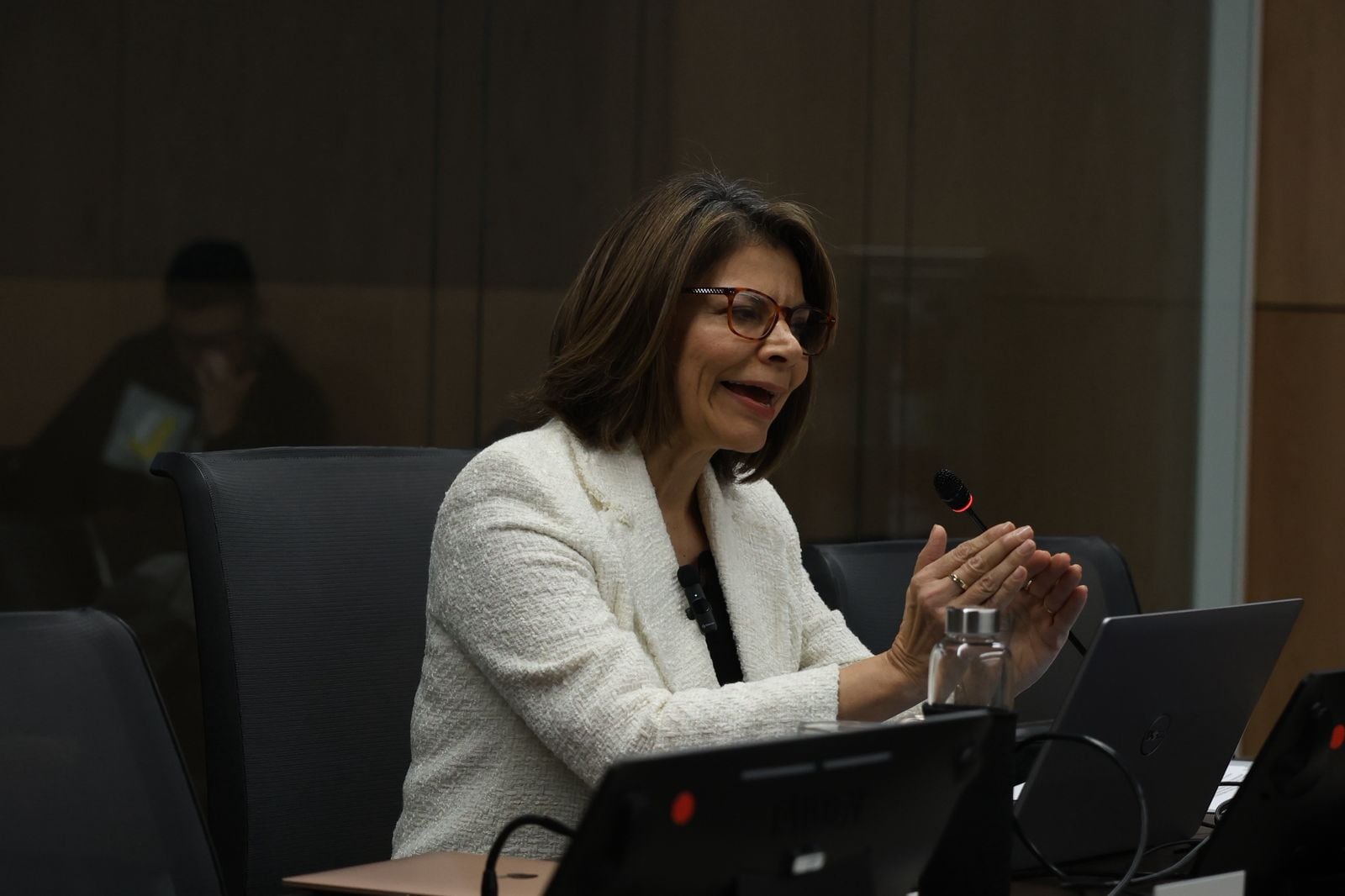 Laura Chinchilla seguridad