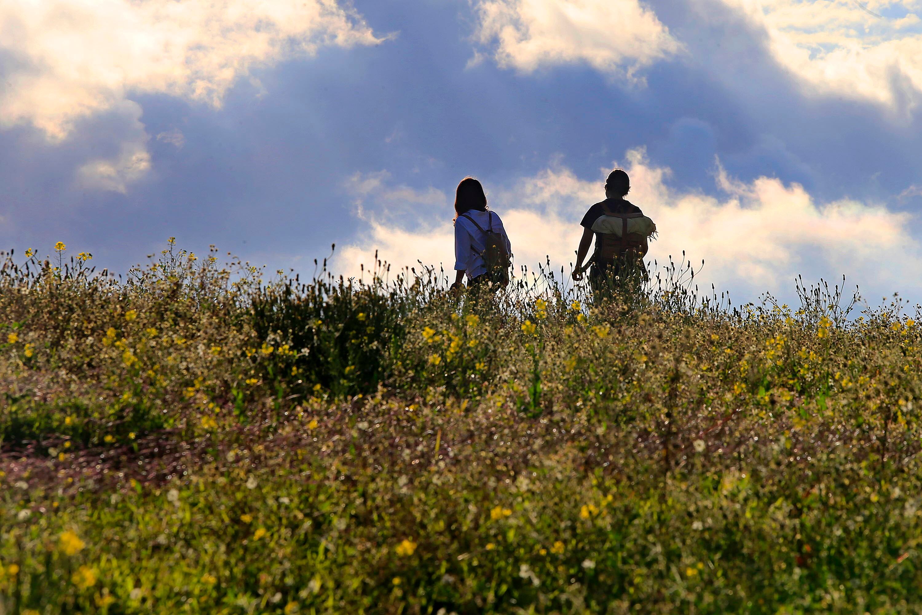 Dos personas en un campo con flores