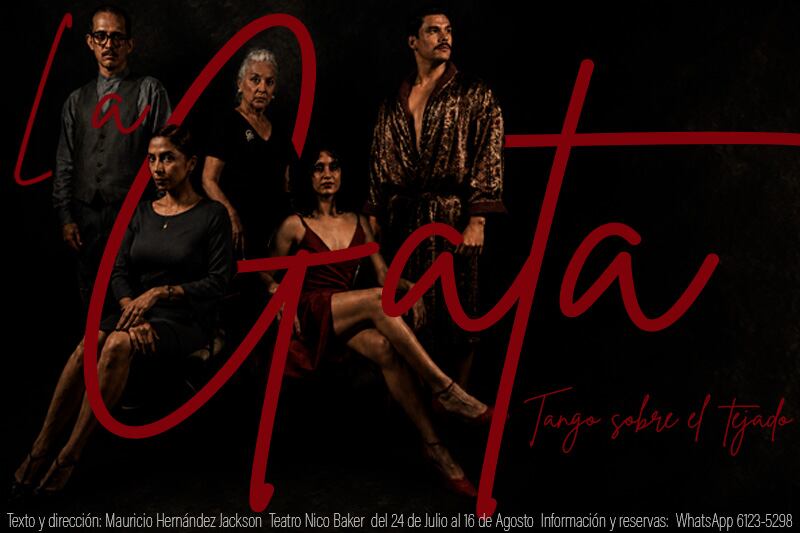 La Gata: Tango Sobre el Tejado