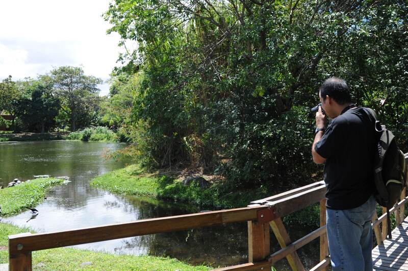 El Gobierno anterior planeó trasladar la sede del Sinac al INBioparque, en Santo Domingo de Heredia, pero la actual administración duda de hacerlo. Además, todavía no sabe qué hacer con el parque educativo. | ARCHIVO