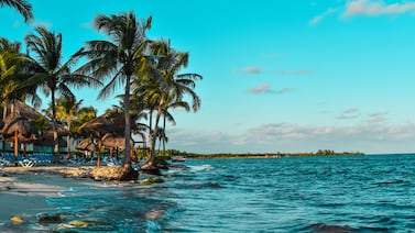 Descubren en el mar Caribe un compuesto que podría mejorar el tratamiento contra el cáncer