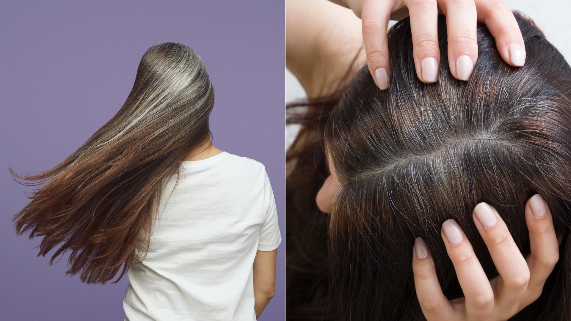 Especialistas explican por qué salen las canas y qué ocurre al arrancarlas. También detallan riesgos y factores asociados.