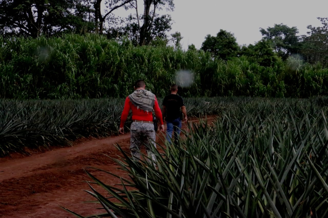 La mañana de este sábado un rayo acabó con la vida de un muchacho de 21 años en una piñera de La Virgen de Sarapiquí. Foto: Reiner Montero.