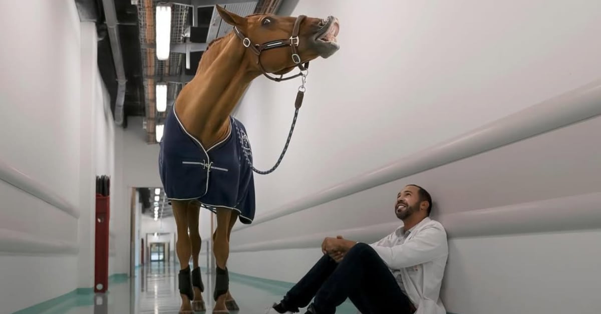 Hassen Bouchakour, el cuidador de Peyo, dejó su exitosa carrera como deportista y showman para dedicarse por completo al acompañamiento de Peyo en las visitas hospitalarias.