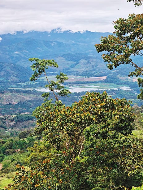 Camino Costa Rica