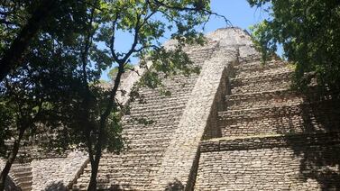 Los mayas tenían la costumbre de vender perros y transportarlos largas distancias